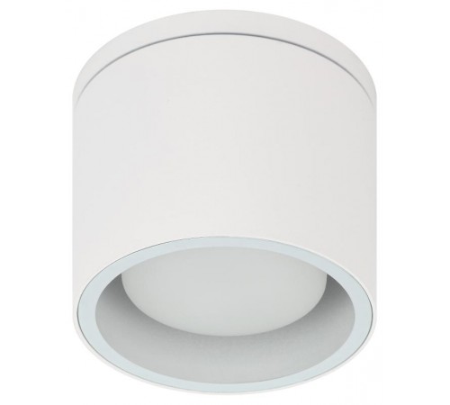 Светильник настенно-потолочный спот WL40 WH GX53, белый, IP54  Б0054415  ЭРА