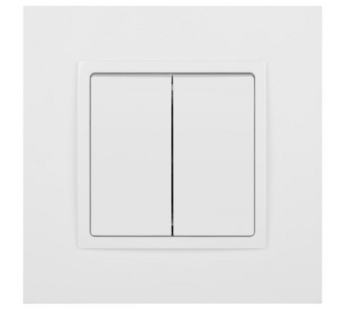 14-1104-01 Выключатель 2-клавишный, 10АХ-250В, IP20, Эра Elegance, белый  Б0034229  ЭРА
