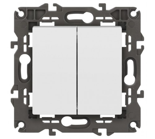 14-1104-01 Выключатель 2-клавишный, 10АХ-250В, IP20, Эра Elegance, белый  Б0034229  ЭРА