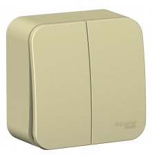 Blanca Бежевый О/У с изолирующей пластиной Выключатель 2-кл (cх.5) 10А, 250B  BLNVA105017  SE