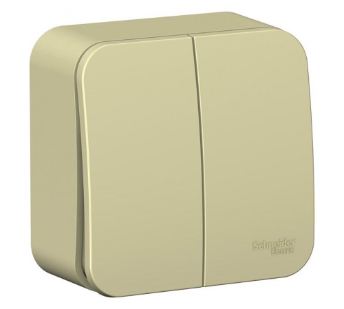 Blanca Бежевый О/У с изолирующей пластиной Выключатель 2-кл (cх.5) 10А, 250B  BLNVA105017  SE