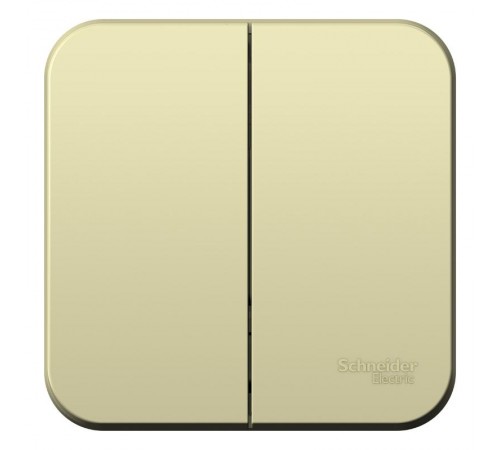 Blanca Бежевый О/У с изолирующей пластиной Выключатель 2-кл (cх.5) 10А, 250B  BLNVA105017  SE