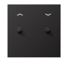 Центральная плата, 1 пост, 2 тумблера,цилиндр; металлическое исполнение; Dark; серия LS  AL12-5PDR01  Jung