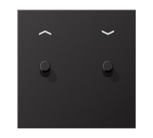 Центральная плата, 1 пост, 2 тумблера,цилиндр; металлическое исполнение; Dark; серия LS  AL12-5PDR01  Jung