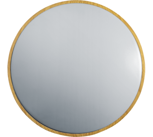 Светильник светодиодный бытовой    93 459 NLF-C-025-01  93459  Navigator