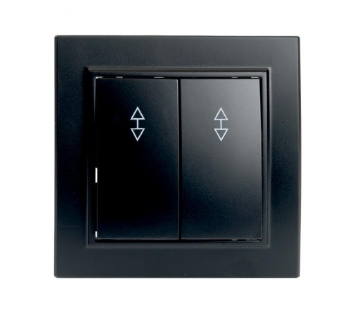 Выключатель (переключатель) электрический 2-клавишный, серия Эрна, PSW10-9008-03, черный  39921  STEKKER