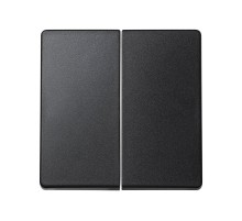 Simon 73 Клавиша (2шт) для выключателя двухклавишного, S73 Loft, графит  73026-62  Simon