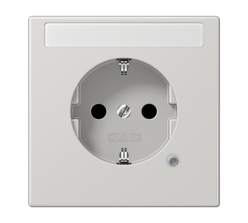 SCHUKO-розетка с полем для надписи и индикатором LS1520NAKOLG Jung