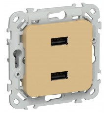 FLITE Розетка USB A+A 2,1А РЮ-2-ФлШм шамуа  FI-U21-D31-K89  IEK