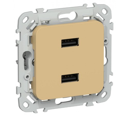 FLITE Розетка USB A+A 2,1А РЮ-2-ФлШм шамуа  FI-U21-D31-K89  IEK