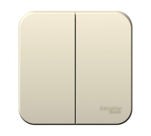 Blanca Молочный О/У с изолирующей пластиной Выключатель 2-клавишный 10А, 250B  BLNVA105012  SE