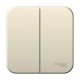 Blanca Молочный О/У с изолирующей пластиной Выключатель 2-клавишный 10А, 250B  BLNVA105012  SE