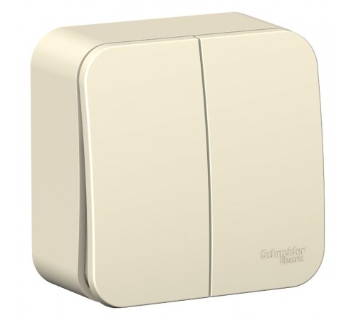 Blanca Молочный О/У с изолирующей пластиной Выключатель 2-клавишный 10А, 250B  BLNVA105012  SE