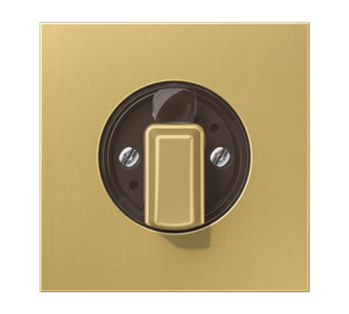 накладка поворотного механизма классик  ME1941C  Jung