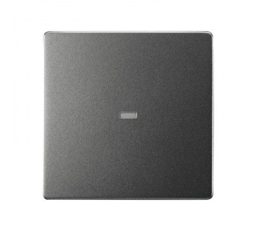 Клавиша для выключателя S77 с подсветкой цвета матовый титан S82 Concept  8201111-096  Simon
