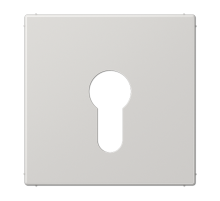 Крышка к выключателю для замочного механизма; светло-серая  LS925LG  Jung