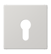 Крышка к выключателю для замочного механизма; светло-серая  LS925LG  Jung