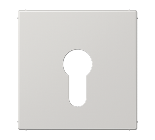 Крышка к выключателю для замочного механизма; светло-серая  LS925LG  Jung