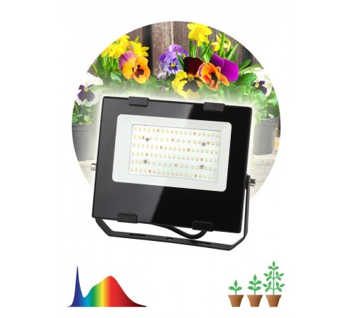 Прожектор светодиодный фито для растений FITO-50W-Ra90-LED для цветения и плодоношения (10/300)  Б0047875  ЭРА