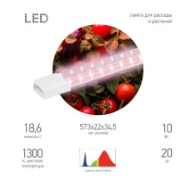 Светильник для растений фитолампа светодиодная линейная  FITO-10W-Т5-PL-Slim-GR розового свечения 10 Вт GREEN LINE  Б0066958  ЭРА