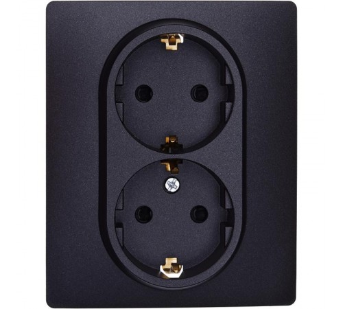 Inspiria Антрацит Розетка 2-ая с заземлением со шторками в сборе 16А 250В винтовые зажимы  673453  Legrand