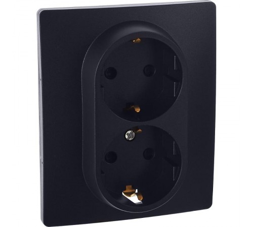 Inspiria Антрацит Розетка 2-ая с заземлением со шторками в сборе 16А 250В винтовые зажимы  673453  Legrand