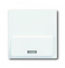 ABB Basic 55 Альп. белый Плата центральная (накладка)для механизма док-станции Busch-iDock 8218 U  8200-0-0171  ABB