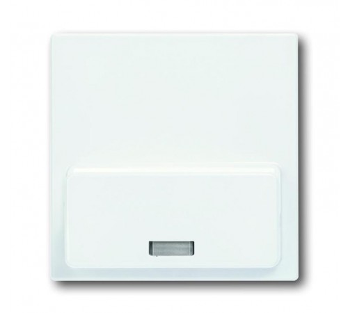ABB Basic 55 Альп. белый Плата центральная (накладка)для механизма док-станции Busch-iDock 8218 U  8200-0-0171  ABB
