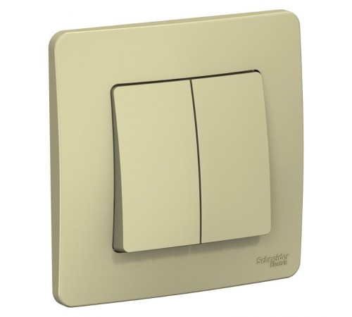 Blanca Бежевый С/У Выключатель 2-кл (cх.5), 10А, 250B  BLNVS010507  SE