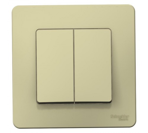 Blanca Бежевый С/У Выключатель 2-кл (cх.5), 10А, 250B  BLNVS010507  SE