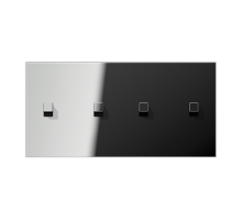 Центральная плата, 2 поста, для горизонтальной установки, тумблеры 2+2,куб; металлическое исполнение; хром; серия LS  GCR12-250E22  Jung