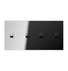 Центральная плата, 2 поста, для горизонтальной установки, тумблеры 2+2,куб; металлическое исполнение; хром; серия LS  GCR12-250E22  Jung