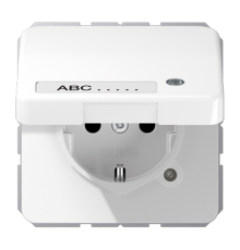 SCHUKO-розетка с крышкой CD1520NAKLKOWW Jung