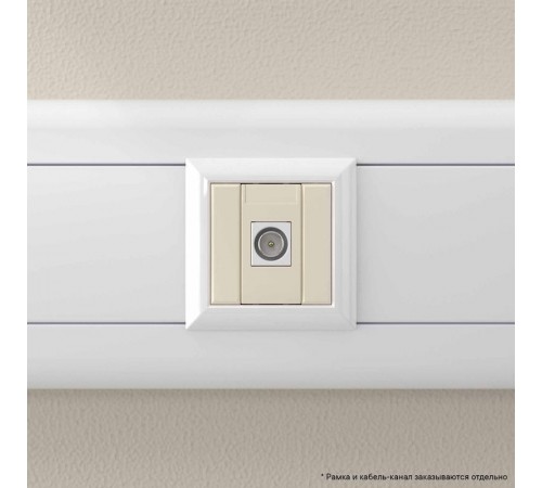 ТВ розетка оконечная "Ванильная дымка", "Avanti", 1 мод.  4405501  DKC