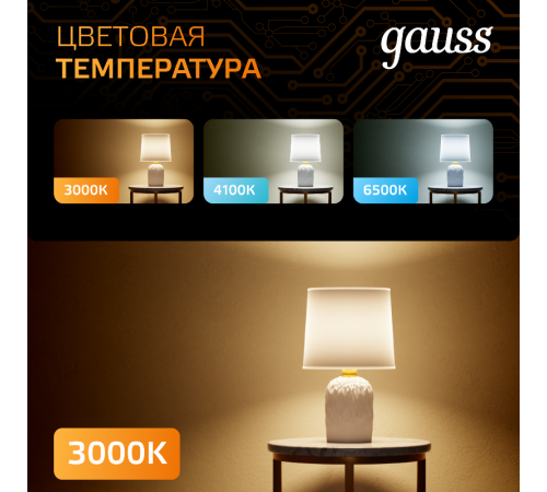Лампа светодиодная Black LED G95 E27 16W 1360lm 3000K  105102116  Gauss