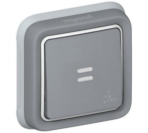 Plexo Серый Выключатель 1-клавишный с подсв. кнопочный (НО+НЗ- контакт) внутренний монтаж (в сборе) IP55  069821  Legrand