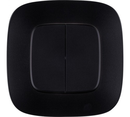 Valena ALLURE DIY Антрацит Переключатель 2-клавишный 10А 250В  752918  Legrand