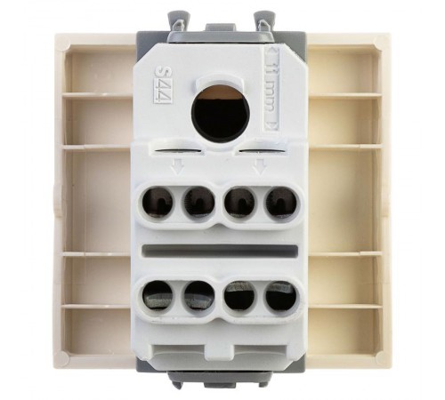 Инвертор (промежуточный переключатель) "Ванильная дымка", Avanti, 16A, 2 мод.  4405122  DKC