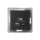 AtlasDesign Карбон USB Розетка A + тип-C 45W высокоскоростной заряд QC PD  ATN001029  SE