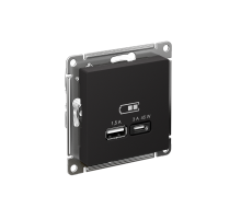 AtlasDesign Карбон USB Розетка A + тип-C 45W высокоскоростной заряд QC PD  ATN001029  SE