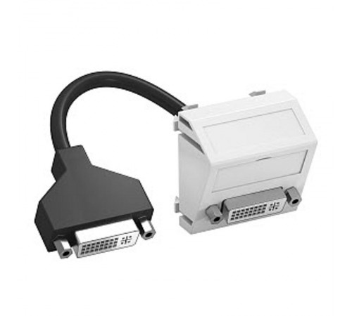 Мультимедийная рамка DVI Modul45 (черный) (MTS-DVI F SWGR1)  6104769  OBO Bettermann