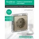 AtlasDesign Шампань Розетка с заземлением, 16А, механизм  ATN000543  SE