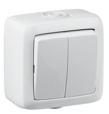 Выключатель открытой установки, двухклавишный, брызгозащищенный, цвет белый  ВА10-251  HEGEL