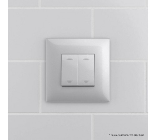 Выключатель двухклавишный в стену, "Avanti", "Закаленная сталь"  4404104  DKC