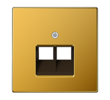 Крышка для двойной телефонной и компьютерной розетки UAE; золото  LS969-2UAGGO  Jung