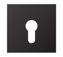 крышка для выключателя с замком AL2925D Jung