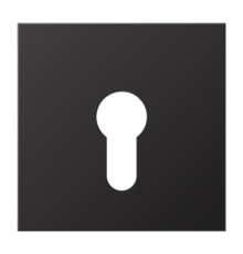 крышка для выключателя с замком AL2925D Jung