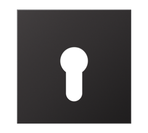 крышка для выключателя с замком AL2925D Jung