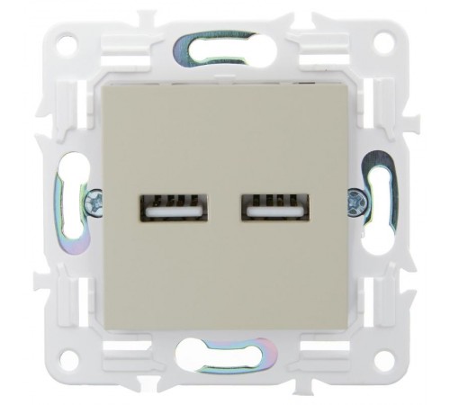SKANDY Розетка USB A+A 3,1А SK-R15B бежевый  SK-U21-D31-K10  IEK