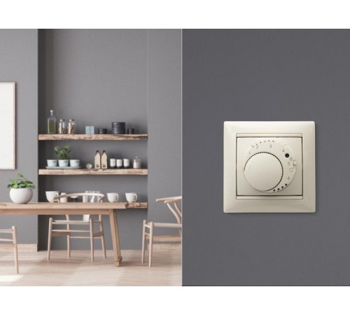 Valena Сл. кость Регулятор тёплого пола  774191  Legrand